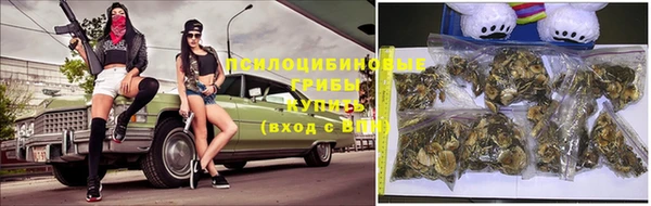 ALPHA PVP Новодвинск