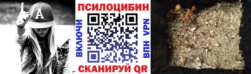 Купить  Уяр  Галлюциногенные грибы мицелий 
